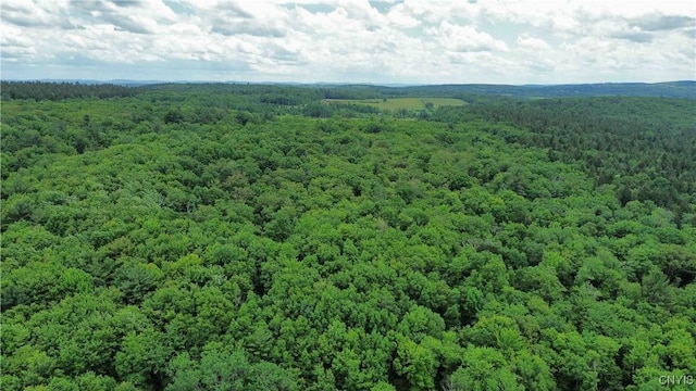 Gospel Hill Rd, Oxford, NY 13830
