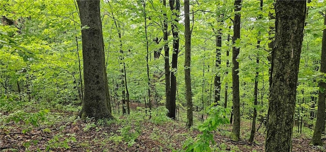 Gospel Hill Rd, Oxford, NY 13830
