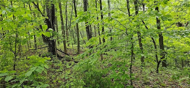 Gospel Hill Rd, Oxford, NY 13830