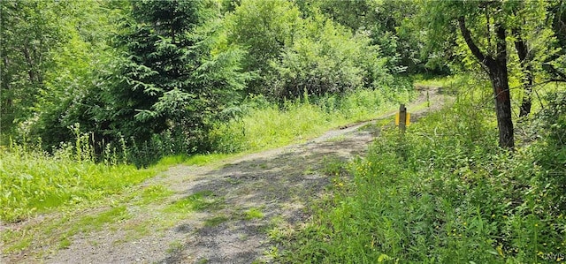 Gospel Hill Rd, Oxford, NY 13830