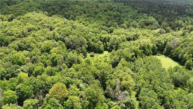 Gospel Hill Rd, Oxford, NY 13830