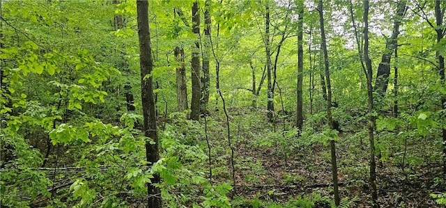 Gospel Hill Rd, Oxford, NY 13830