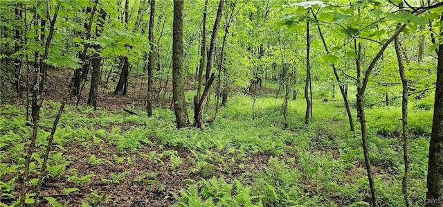 Gospel Hill Rd, Oxford, NY 13830