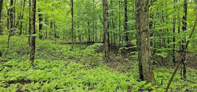 Gospel Hill Rd, Oxford, NY 13830