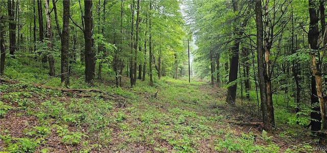 Gospel Hill Rd, Oxford, NY 13830