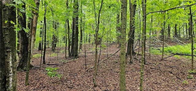 Gospel Hill Rd, Oxford, NY 13830