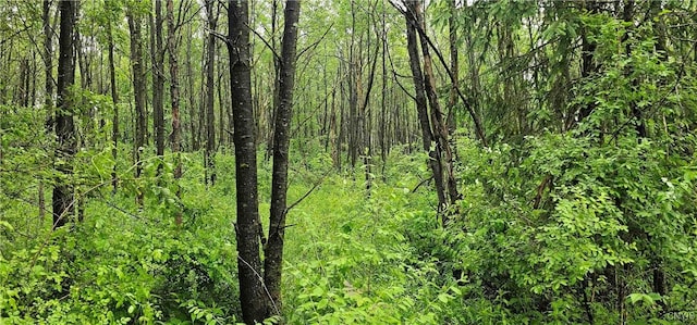 Gospel Hill Rd, Oxford, NY 13830