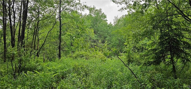 Gospel Hill Rd, Oxford, NY 13830