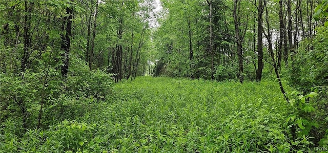 Gospel Hill Rd, Oxford, NY 13830