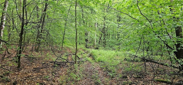 Gospel Hill Rd, Oxford, NY 13830