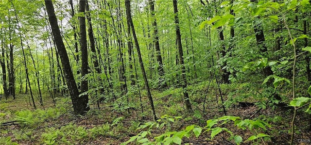 Gospel Hill Rd, Oxford, NY 13830