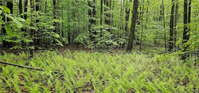 Gospel Hill Rd, Oxford, NY 13830
