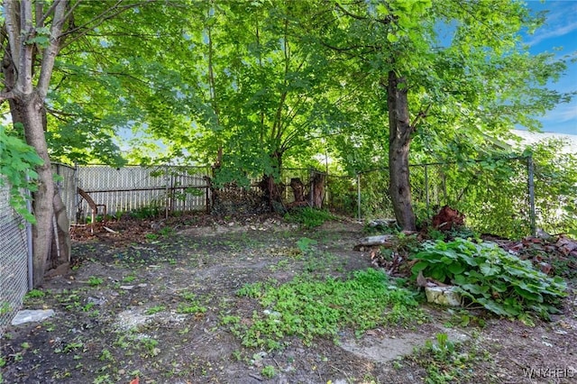 152 Mulberry St, Buffalo, NY 14204 - view of yard