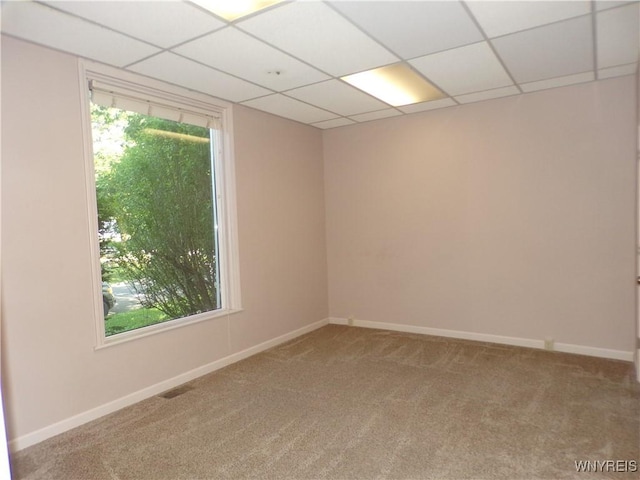 315 Laurens St, Olean-City, NY 14760 - empty room with carpet floors and a drop ceiling