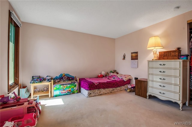 83 Randwood Dr, Amherst, NY 14068 - view of carpeted bedroom