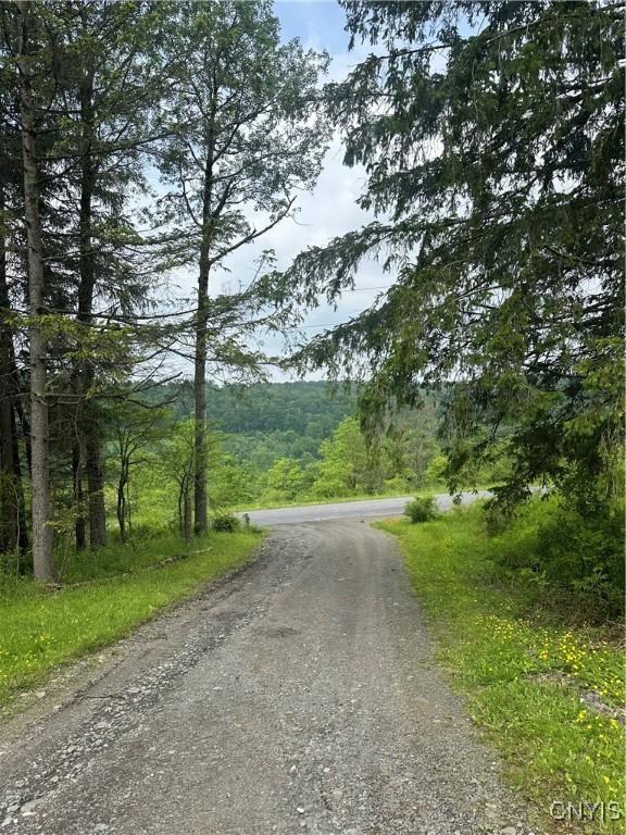 3946 Suarez Rd, Taylor, NY 13040 - photo 23