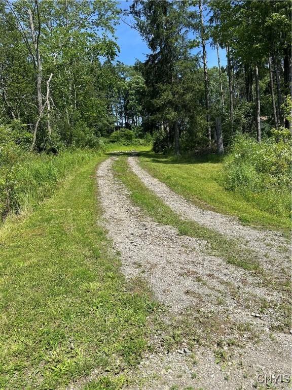 3946 Suarez Rd, Taylor, NY 13040 - photo 25