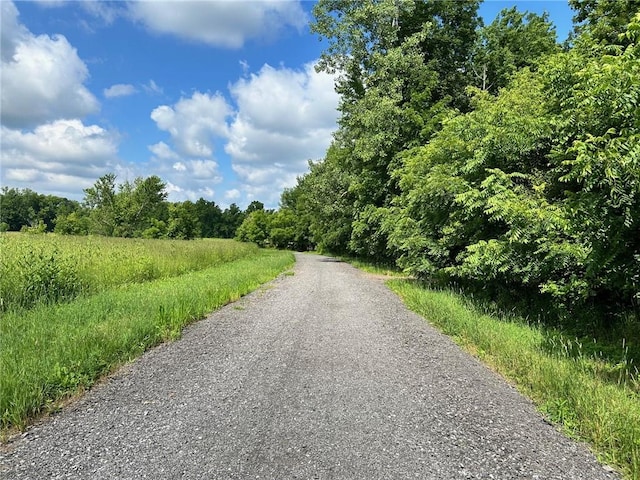 28 Blaydon Loop, Henrietta, NY 14586 - view of dirt / gravel road with a wooded view