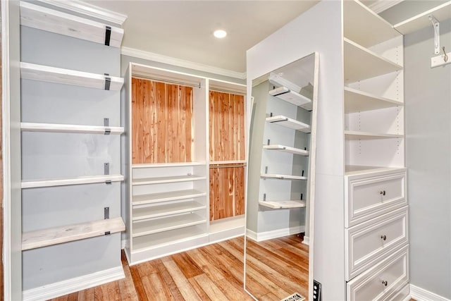 28 Blaydon Loop, Henrietta, NY 14586 - walk in closet with light wood-style flooring