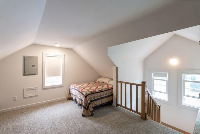 70 E Main St, Avon, NY 14414 - carpeted bedroom with electric panel and lofted ceiling