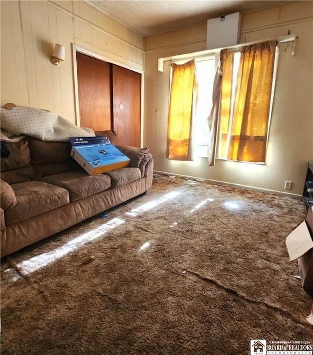 296 Falconer St, Jamestown, NY 14701 - living room with carpet