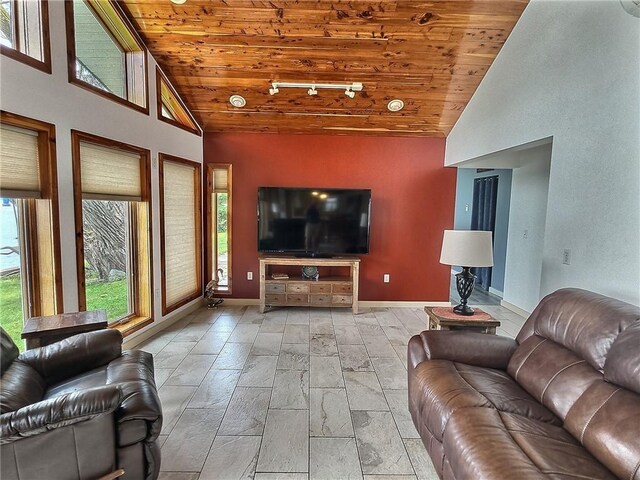 641 Fire Ln Unit 5, Genoa, NY 13081 - living area featuring wood ceiling and high vaulted ceiling