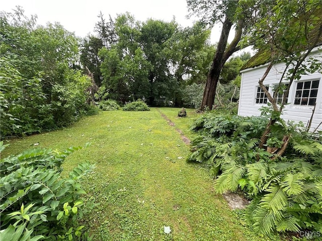 314 Mcrae St, Rome-Inside, NY 13440 - view of grassy yard
