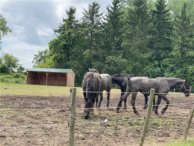 11159 State Route 34, Cato, NY 13033 - view of stable