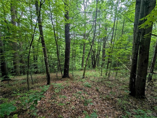 Bell Hill Rd, Lindley, NY 14858