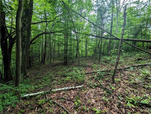 Bell Hill Rd, Lindley, NY 14858
