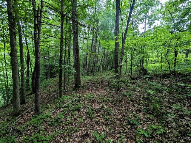 Bell Hill Rd, Lindley, NY 14858