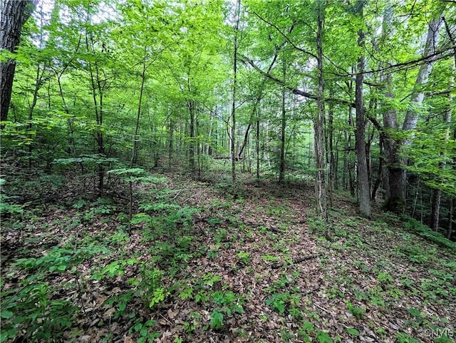 Bell Hill Rd, Lindley, NY 14858