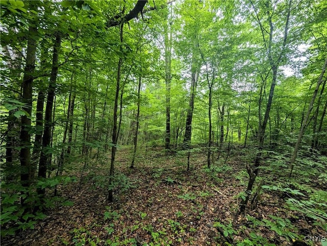 Bell Hill Rd, Lindley, NY 14858