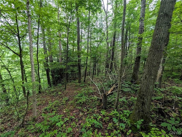 Bell Hill Rd, Lindley, NY 14858