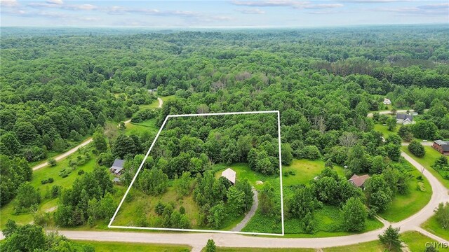 45 Fawn Lake Rd, Orwell, NY 13302 - aerial overview of property's location with a forest and property parcel outlined