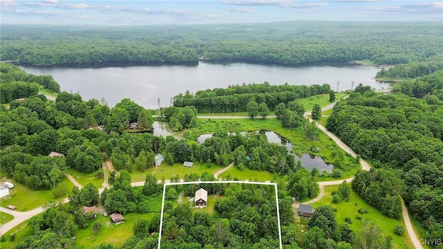 45 Fawn Lake Rd, Orwell, NY 13302 - aerial view of property and surrounding area featuring a large body of water and property boundaries highlighted