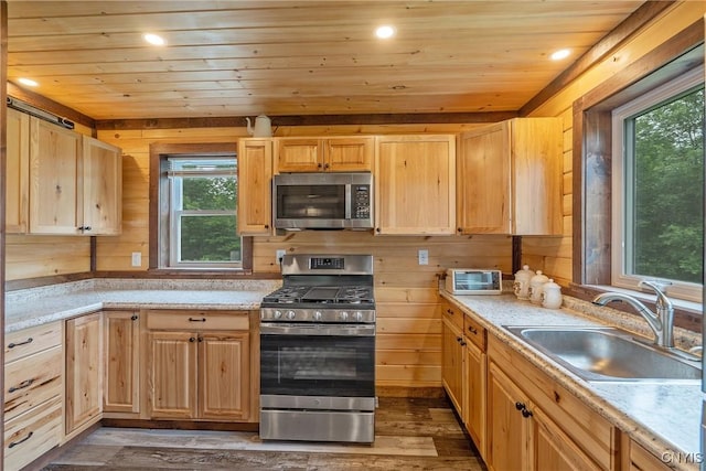 45 Fawn Lake Rd, Orwell, NY 13302 - kitchen featuring stainless steel appliances, light brown cabinets, dark wood-type flooring, wood ceiling, and wooden walls