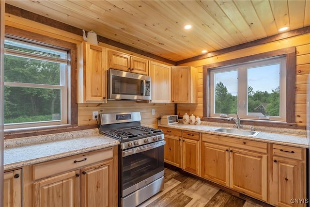 45 Fawn Lake Rd, Orwell, NY 13302 - kitchen featuring stainless steel appliances, wooden ceiling, healthy amount of natural light, light wood-type flooring, and recessed lighting