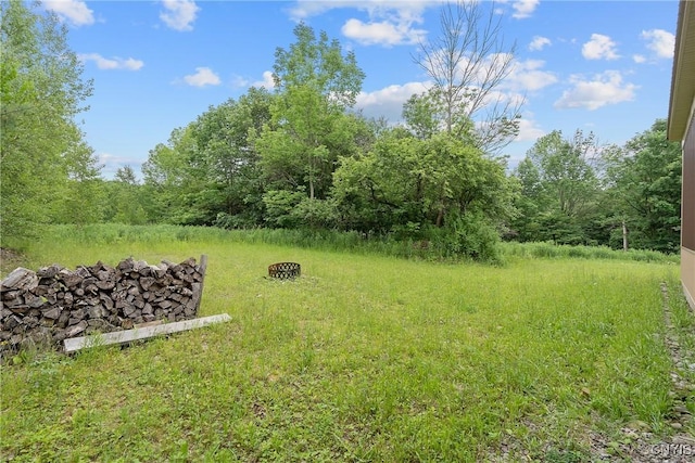 45 Fawn Lake Rd, Orwell, NY 13302 - view of yard