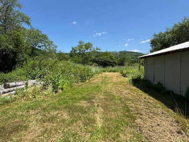 3592 Weidrick Rd, Wellsville, NY 14895 - photo 26