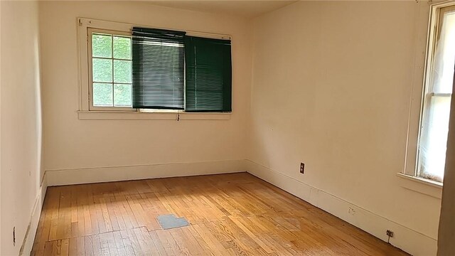 34 Stanfield Ter, Rochester, NY 14619 - photo 11