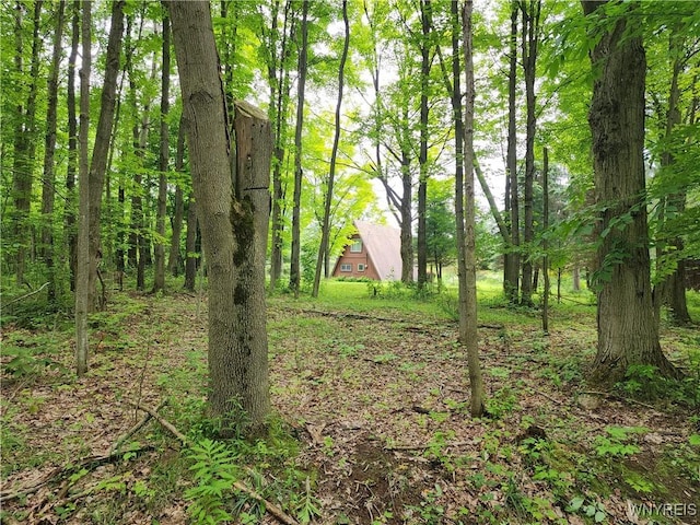 77 Fox Trl, Sheldon, NY 14167