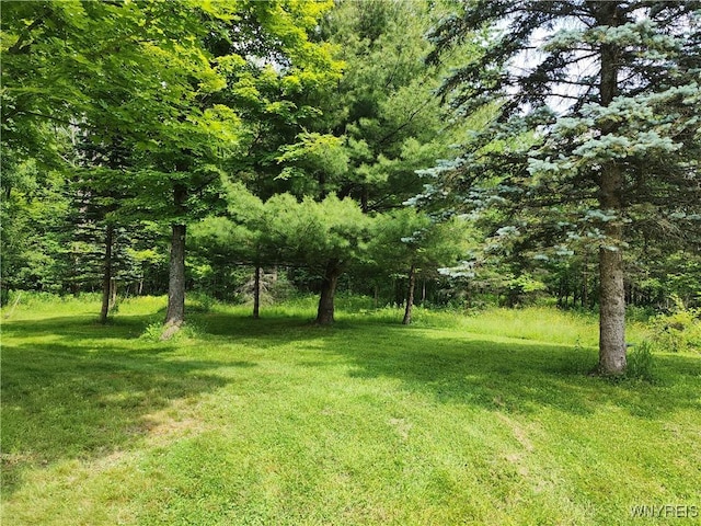 77 Fox Trl, Sheldon, NY 14167