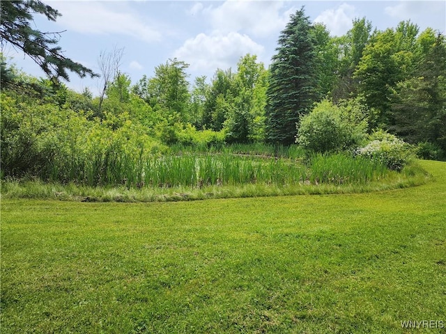 77 Fox Trl, Sheldon, NY 14167