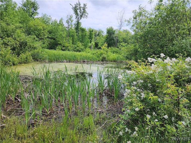 77 Fox Trl, Sheldon, NY 14167