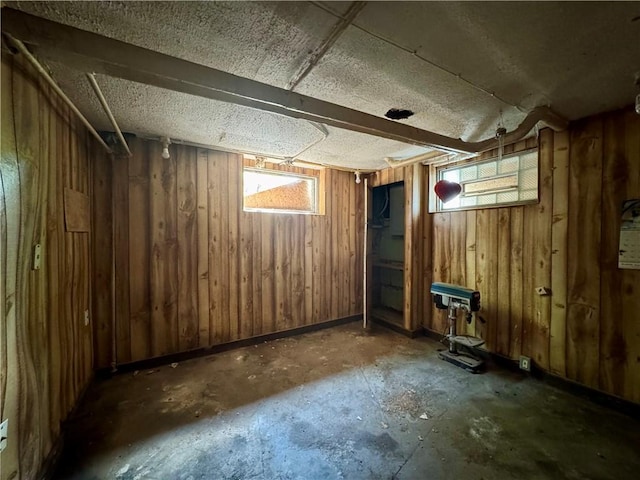 553 Denise Rd, Greece, NY 14616 - below grade area featuring plenty of natural light and wood walls