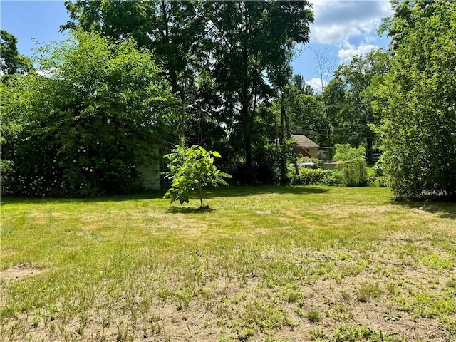 553 Denise Rd, Greece, NY 14616 - view of grassy yard