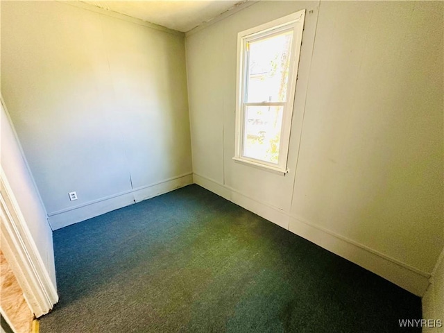 38 Wick St, Buffalo, NY 14212 - photo 11