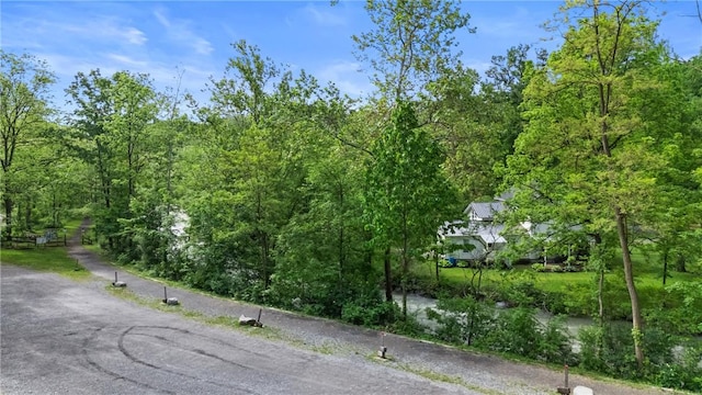 1292 Mays Mill Rd, Milo, NY 14527 - photo 35