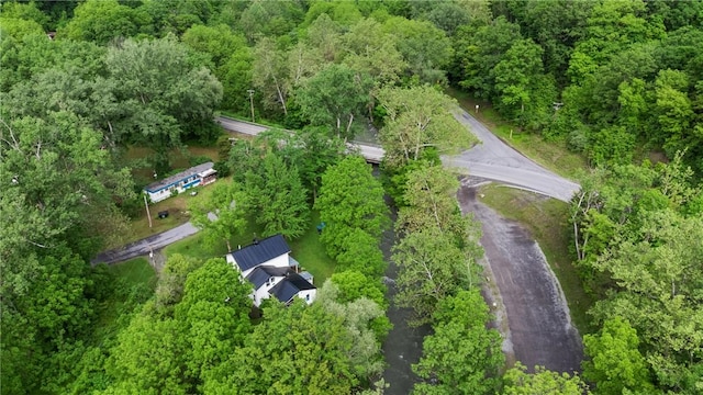 1292 Mays Mill Rd, Milo, NY 14527 - photo 36